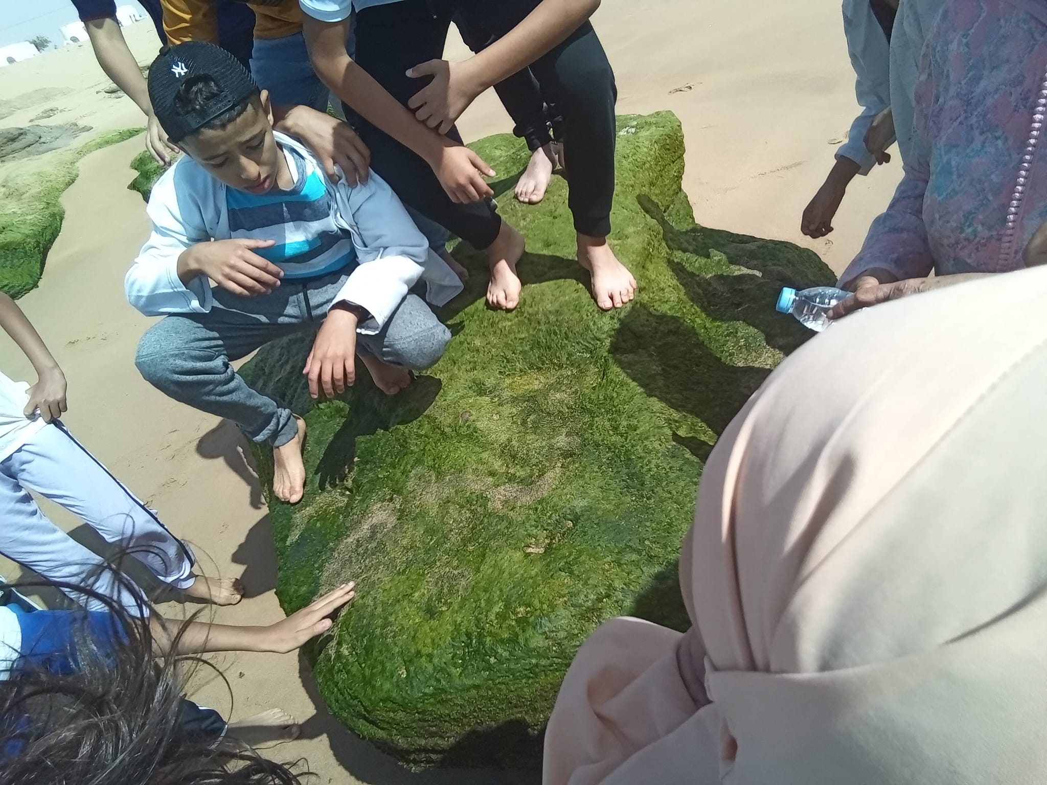 Sortie biologie